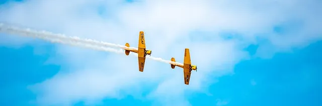 bearvsplane