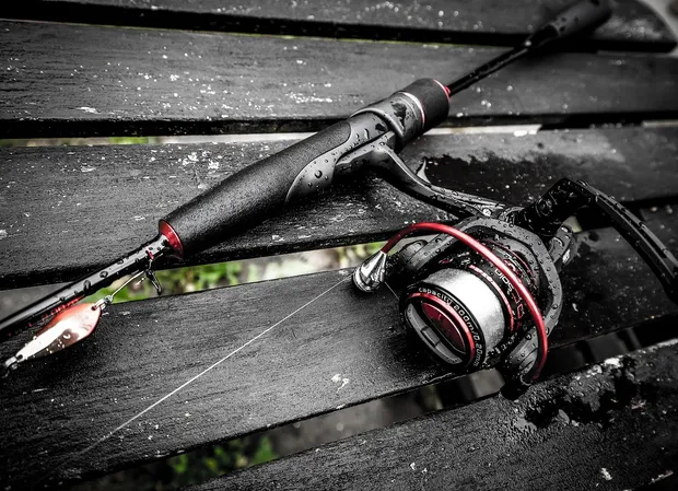 geobass-this-is-fly