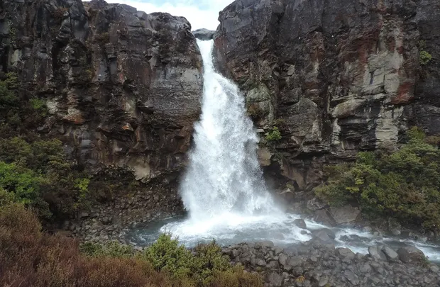 Bond-Falls