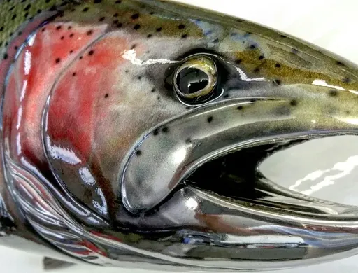 steelhead