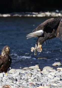 vol2issue04