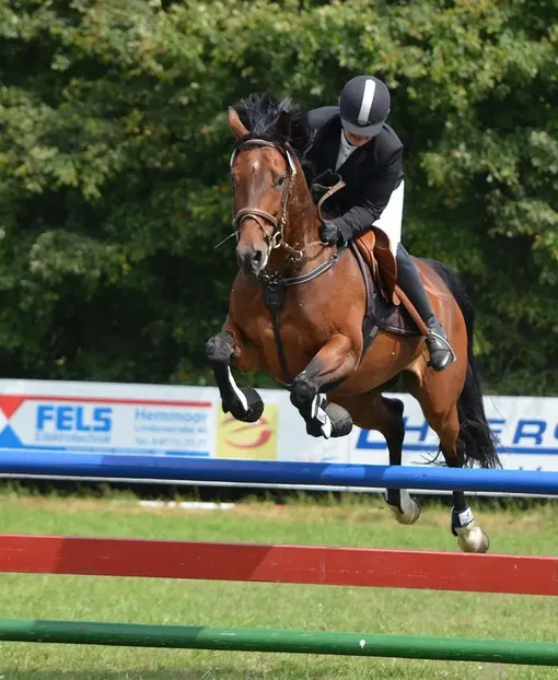 del-brown-this-is-fly
