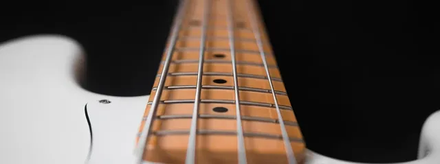 bass bass