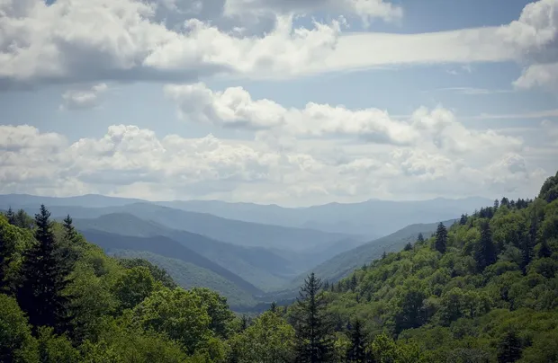 SMOKY-MOUNTAIN-FLY-FISHING-FESTIVAL