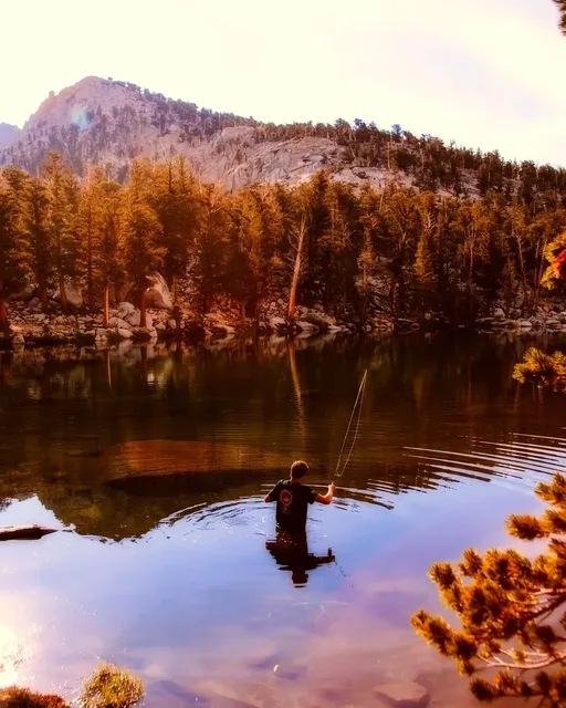 Check out the latest issue of This is Fly Magazine, www.thisisfly.com

@christiaanpretorius
@matt.jones.photography
@flyprojectusa
@rickkustich
@magogsmelt
@derekolthuis
@hawgfish
@looknfishy
@baetisandstones
@patagonia_flyfish
@colinnnnn
@kamiswingle
@twofistedheart
@kcbadger
@redingtongear

#flyfishing #flyfishingmagazine #thisisfly #trout #troutfishing #freshwaterflyfishing #saltwaterflyfishing #travel #adventure #fishing #troutbum #magazine #artanddesign #music #designmagazine