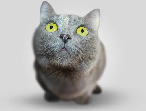 cathcandrelease_shirt_grey-2