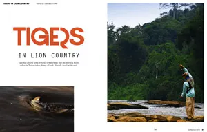 lion_country_layout01
