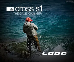 loop_cross_s1_tif_banner
