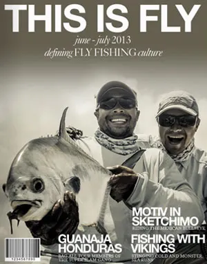 cover41