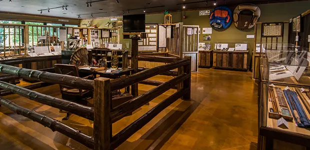 fly-fishing-museum-this-is-fly-2