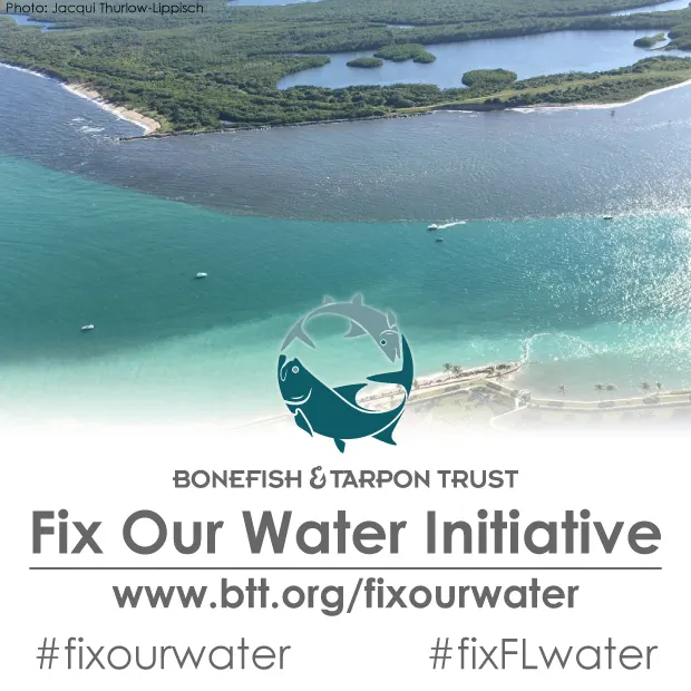 BTT_FixOurWater